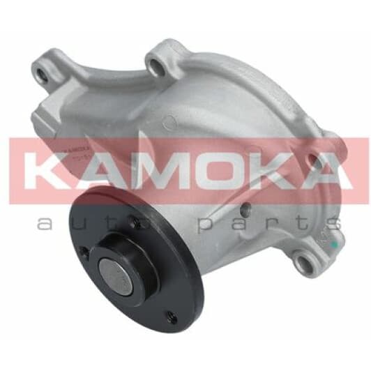 T0151 Kamoka Помпа