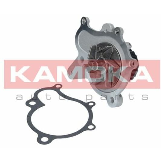T0153 Kamoka Помпа