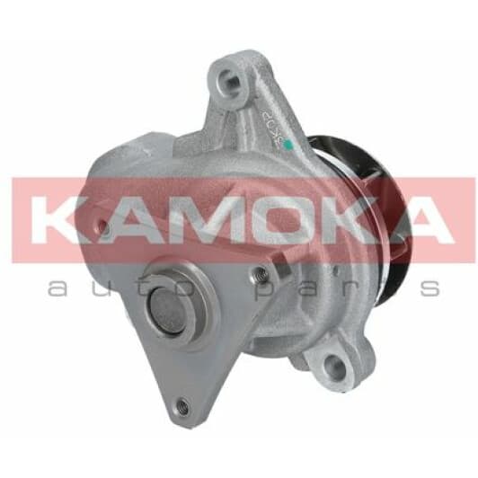 T0157 Kamoka Помпа