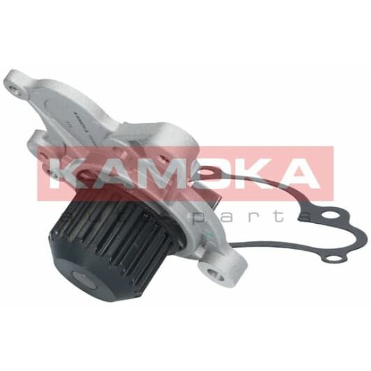 T0160 Kamoka Помпа