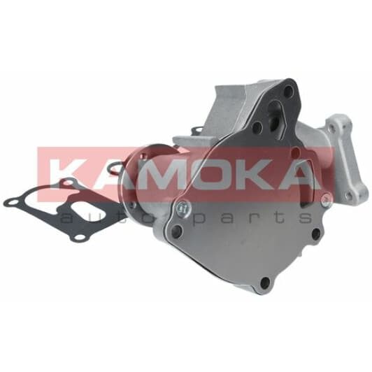 T0161 Kamoka Помпа