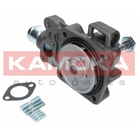 T0166 Kamoka Помпа