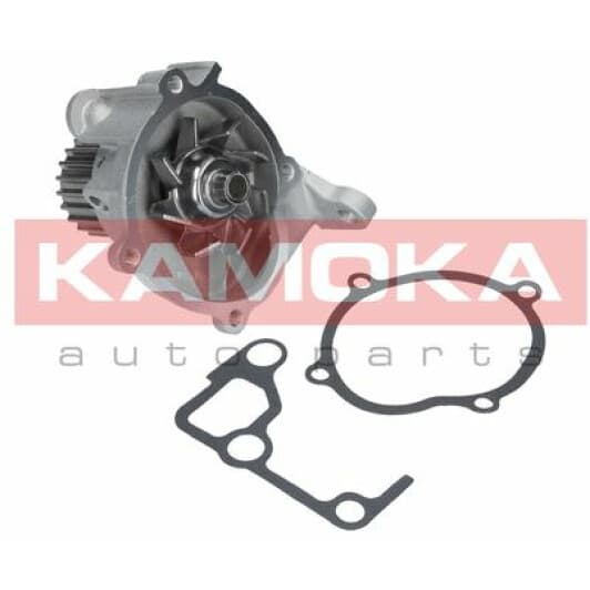 T0170 Kamoka Помпа