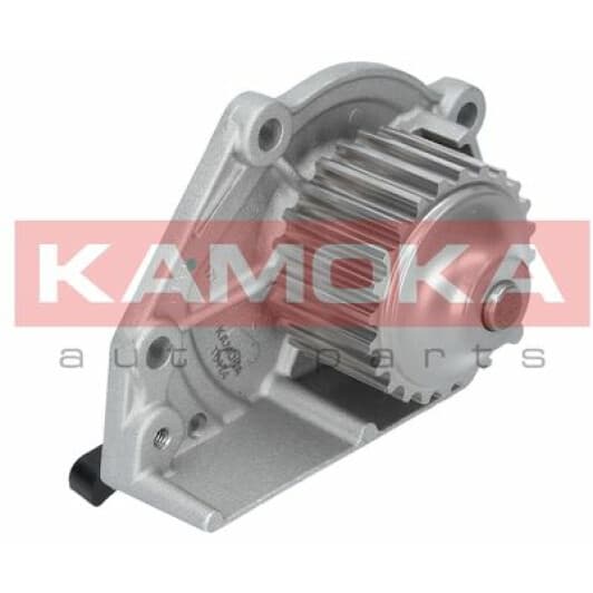 T0174 Kamoka Помпа