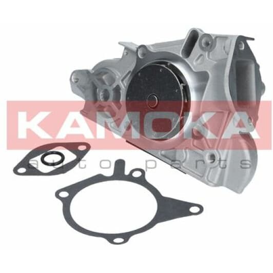 T0177 Kamoka Помпа