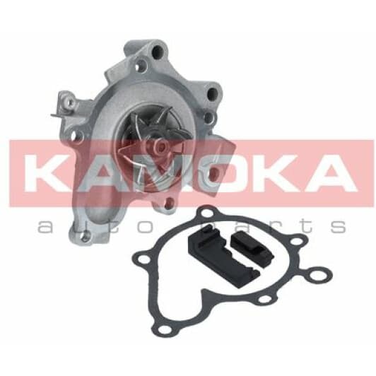 T0178 Kamoka Помпа