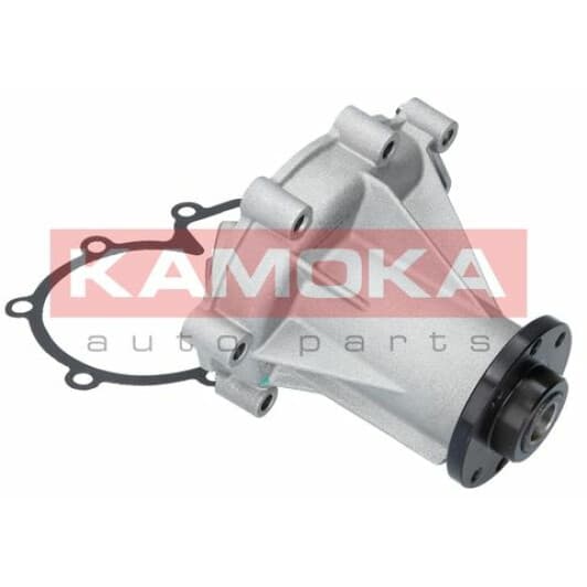 T0181 Kamoka Помпа