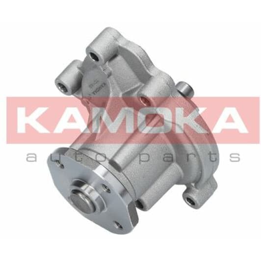 T0182 Kamoka Помпа