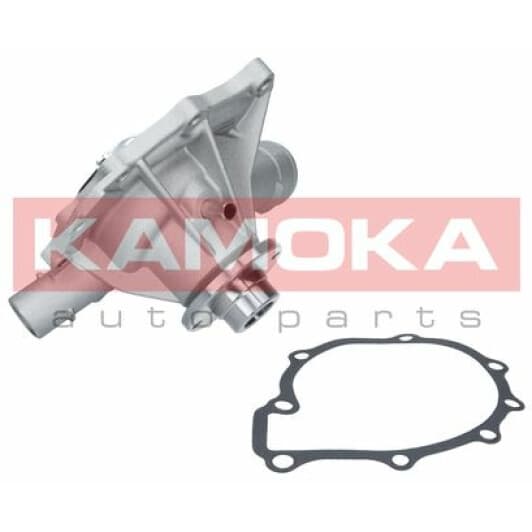 T0189 Kamoka Помпа