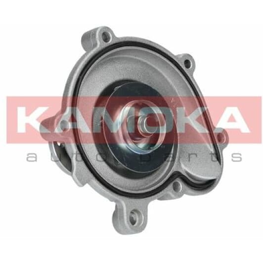 T0194 Kamoka Помпа