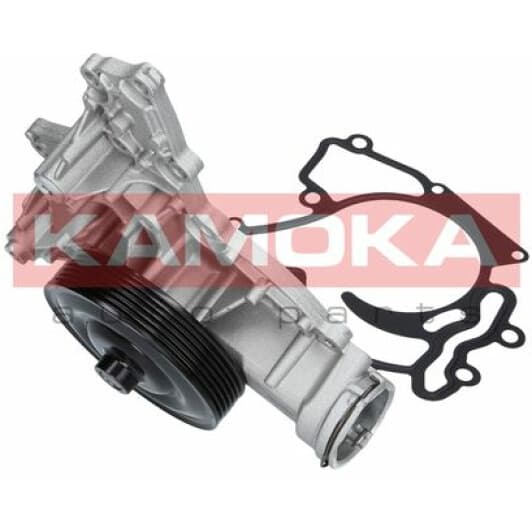 T0195 Kamoka Помпа