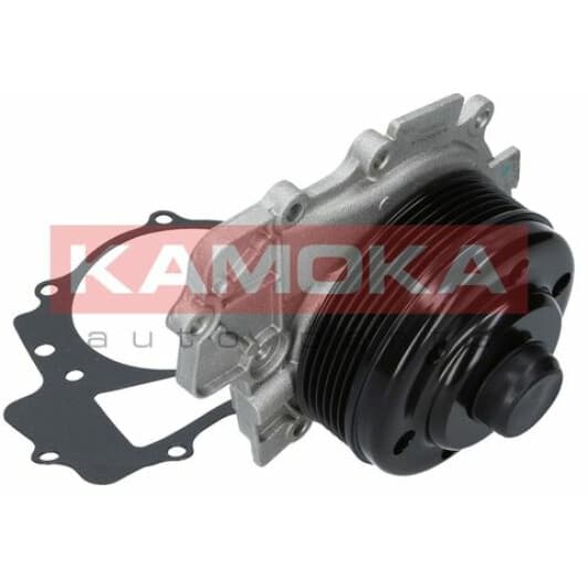 T0203 Kamoka Помпа