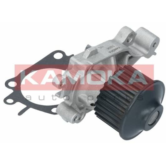 T0206 Kamoka Помпа