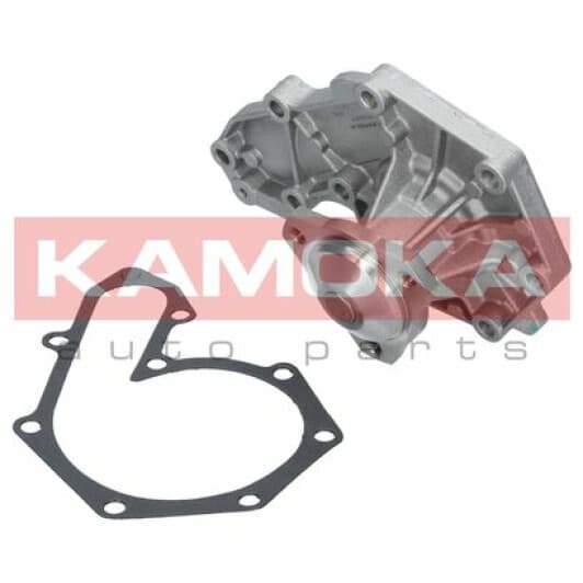 T0207 Kamoka Помпа