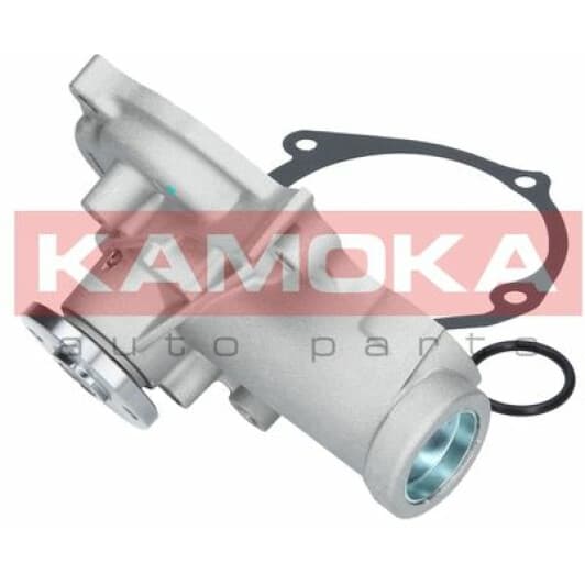T0209 Kamoka Помпа