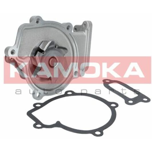 T0210 Kamoka Помпа
