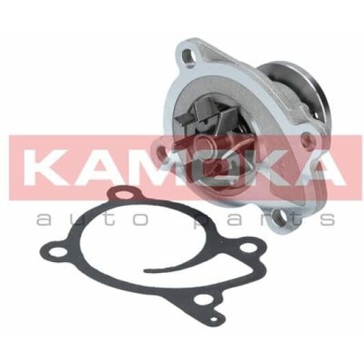 T0215 Kamoka Помпа