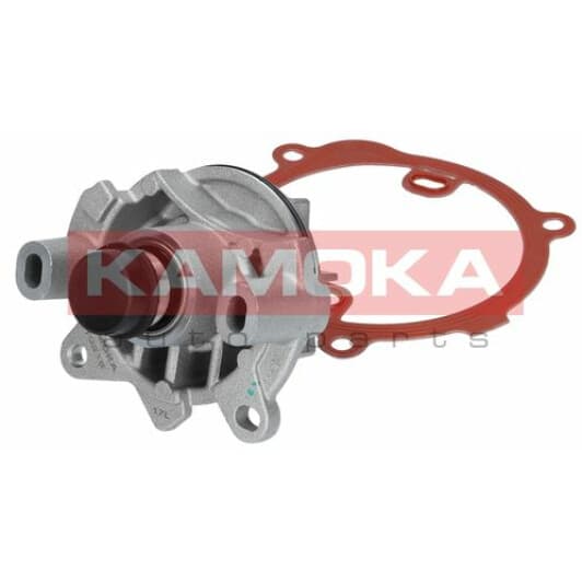T0216 Kamoka Помпа