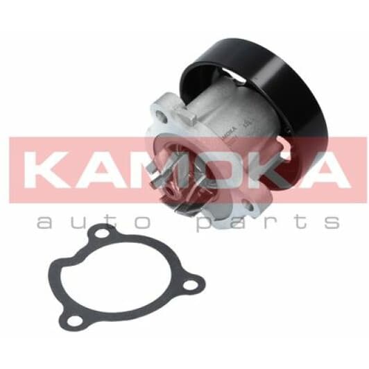 T0221 Kamoka Помпа