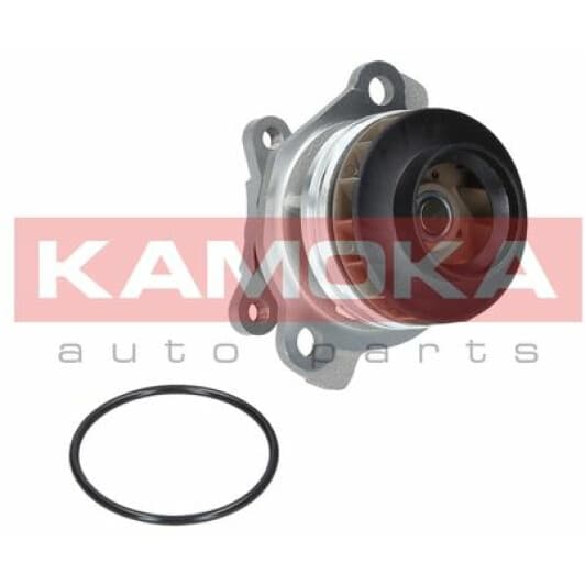 T0222 Kamoka Помпа