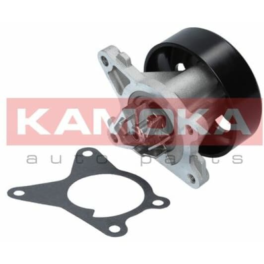 T0223 Kamoka Помпа