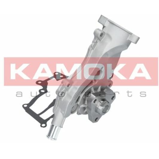 T0224 Kamoka Помпа