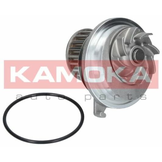 T0228 Kamoka Помпа