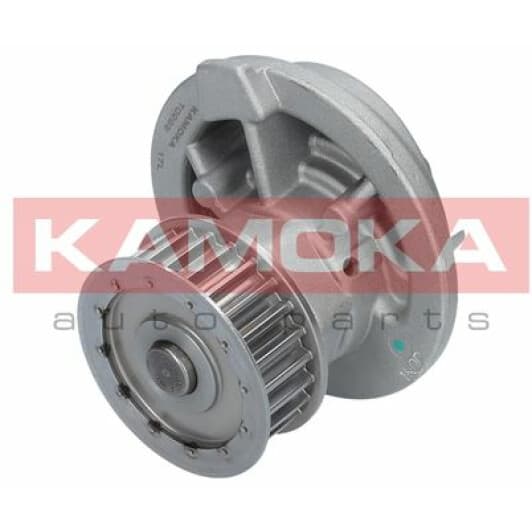 T0229 Kamoka Помпа