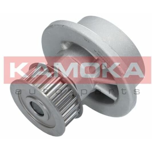 T0232 Kamoka Помпа