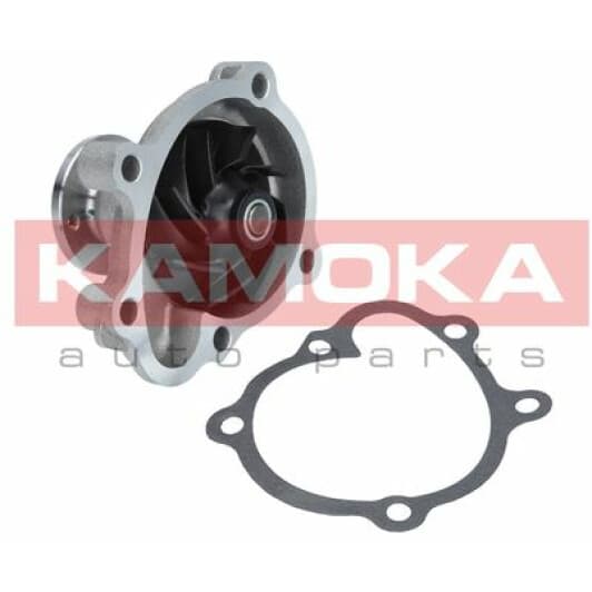 T0233 Kamoka Помпа