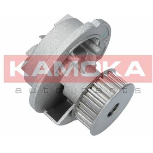 T0236 Kamoka Помпа