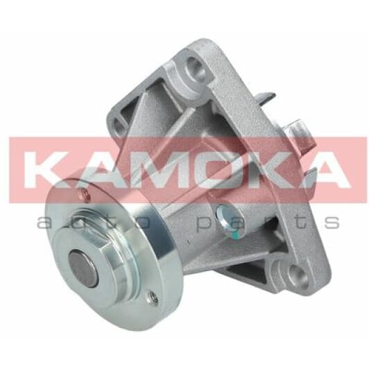 T0237 Kamoka Помпа