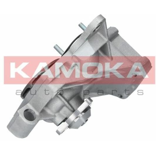T0238 Kamoka Помпа