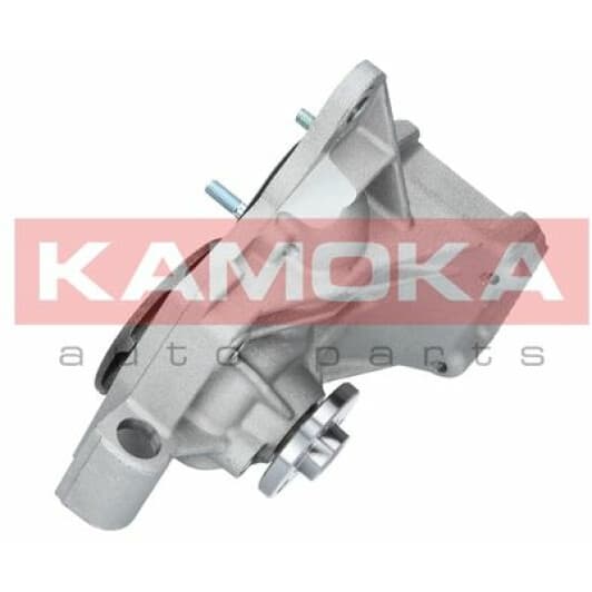 T0239 Kamoka Помпа