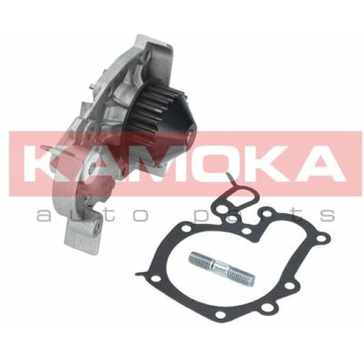 T0241 Kamoka Помпа