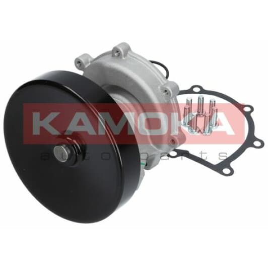 T0247 Kamoka Помпа