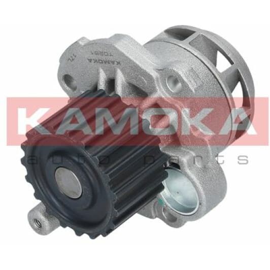 T0251 Kamoka Помпа