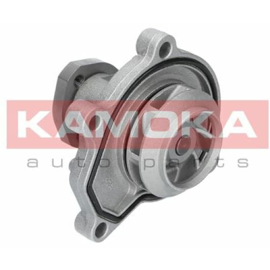T0252 Kamoka Помпа