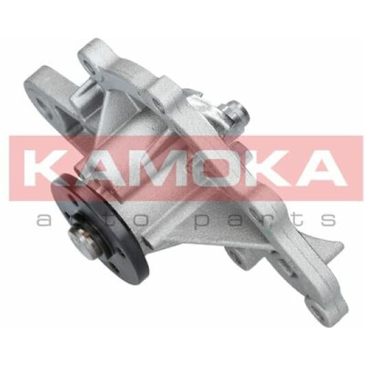 T0259 Kamoka Помпа