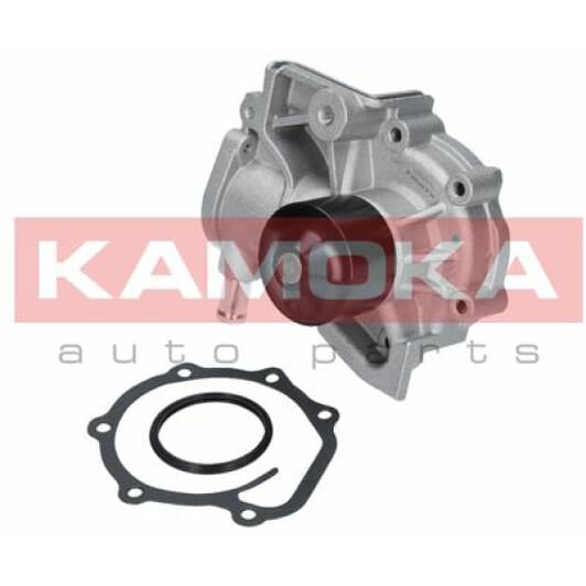 T0260 Kamoka Помпа