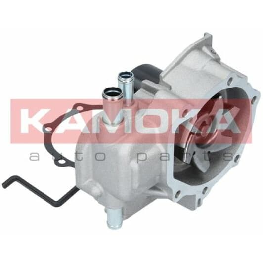 T0261 Kamoka Помпа
