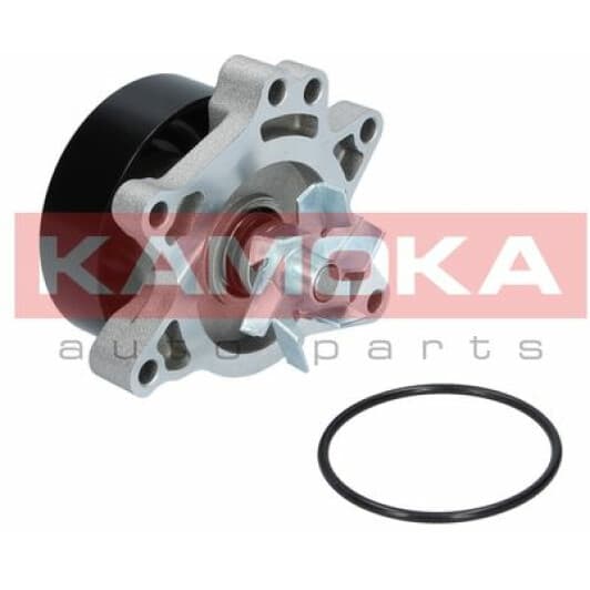 T0263 Kamoka Помпа