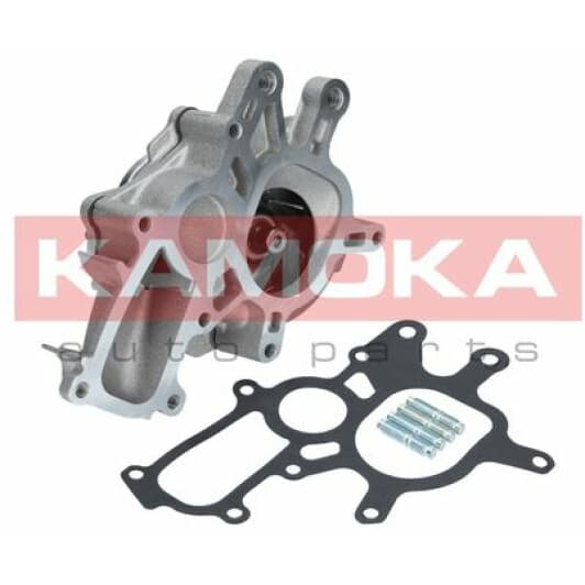 T0267 Kamoka Помпа