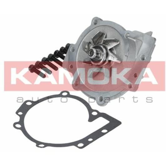 T0270 Kamoka Помпа