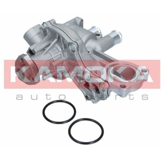 T0043 Kamoka Помпа