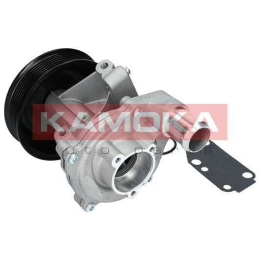 T0142 Kamoka Помпа