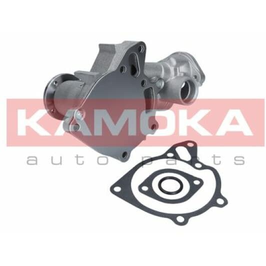 T0162 Kamoka Помпа