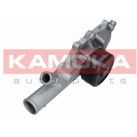 T0193 Kamoka Помпа