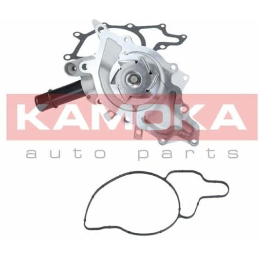 T0198 Kamoka Помпа