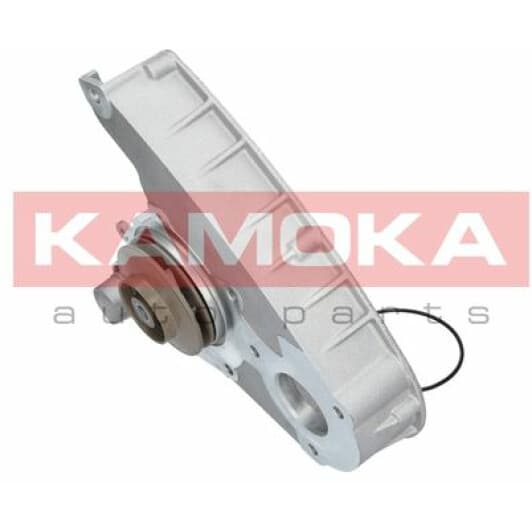 T0119 Kamoka Помпа